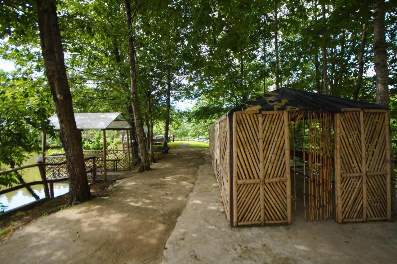 Oasis Gasamania Ξενοδοχείο Μπατούμι Εξωτερικό φωτογραφία