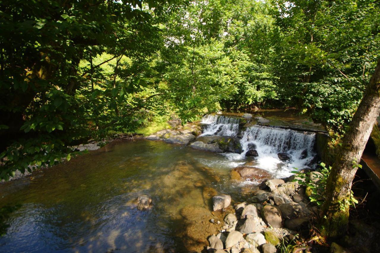 Oasis Gasamania Ξενοδοχείο Μπατούμι Εξωτερικό φωτογραφία