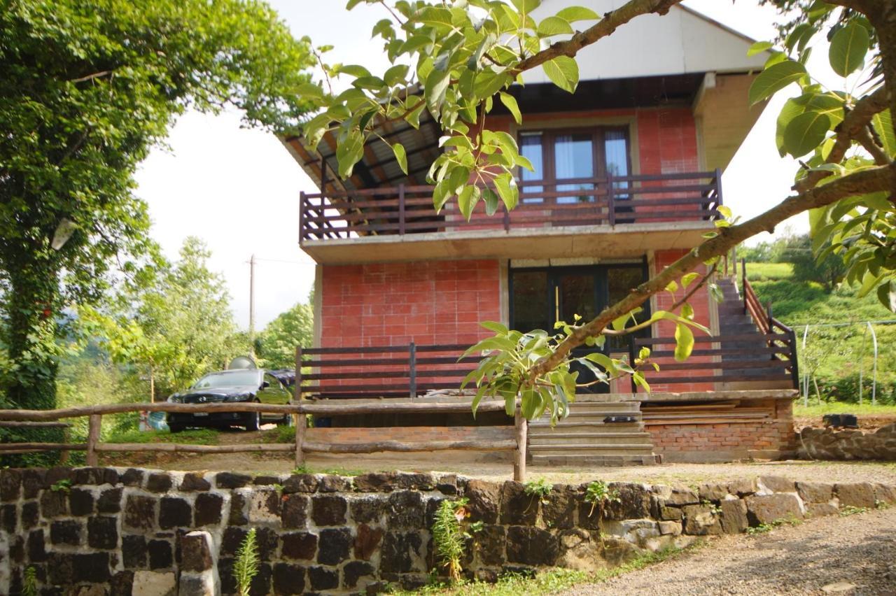Oasis Gasamania Ξενοδοχείο Μπατούμι Εξωτερικό φωτογραφία