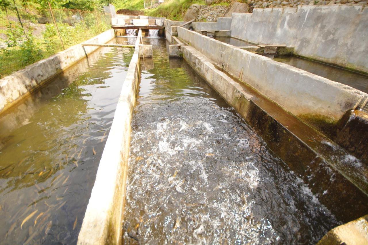 Oasis Gasamania Ξενοδοχείο Μπατούμι Εξωτερικό φωτογραφία