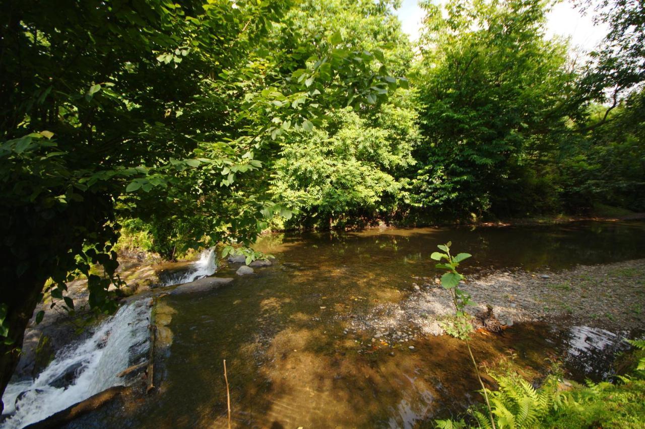 Oasis Gasamania Ξενοδοχείο Μπατούμι Εξωτερικό φωτογραφία