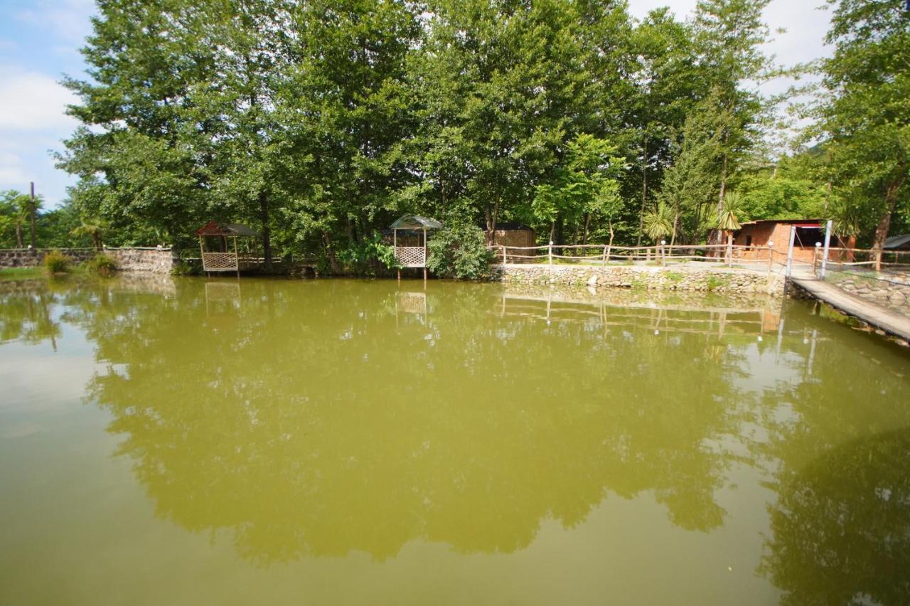 Oasis Gasamania Ξενοδοχείο Μπατούμι Εξωτερικό φωτογραφία